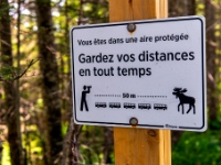 Parc national de la Gaspésie